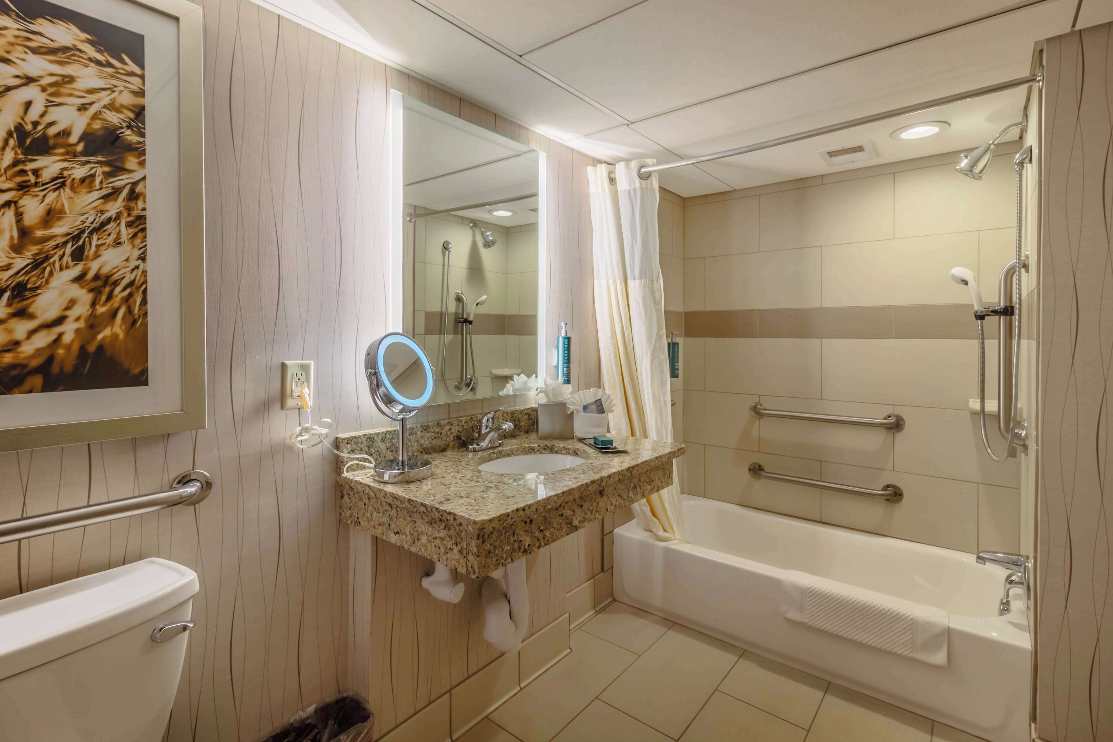 suite, 1 king bed, accessible, bathtub | bathroom | combined shower/bathtub, free toiletries, hair dryer, towels