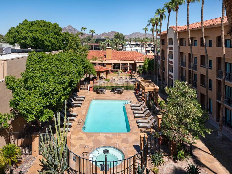 Outdoor pool, sun loungers