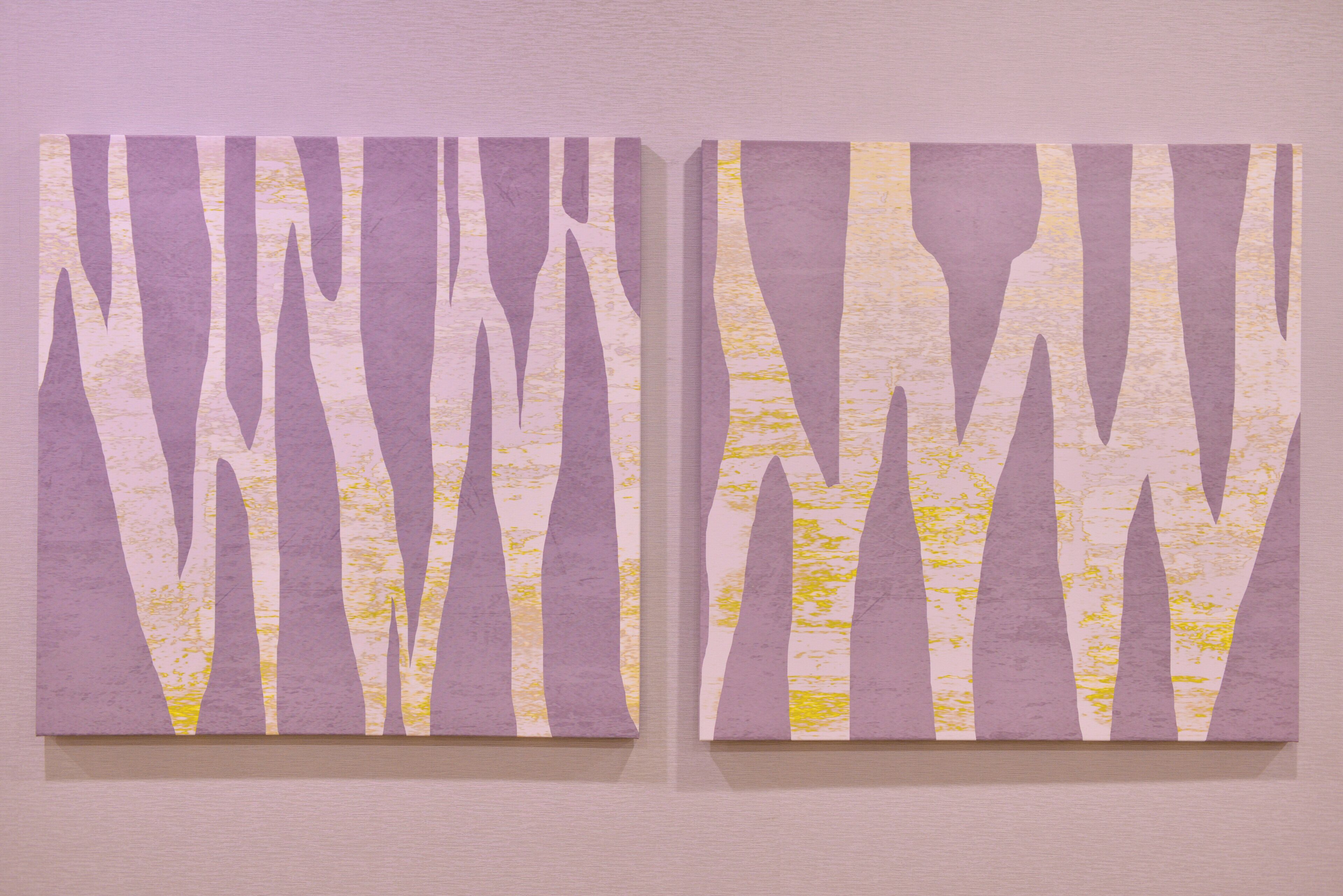 Two wall-mounted artworks with abstract patterns.