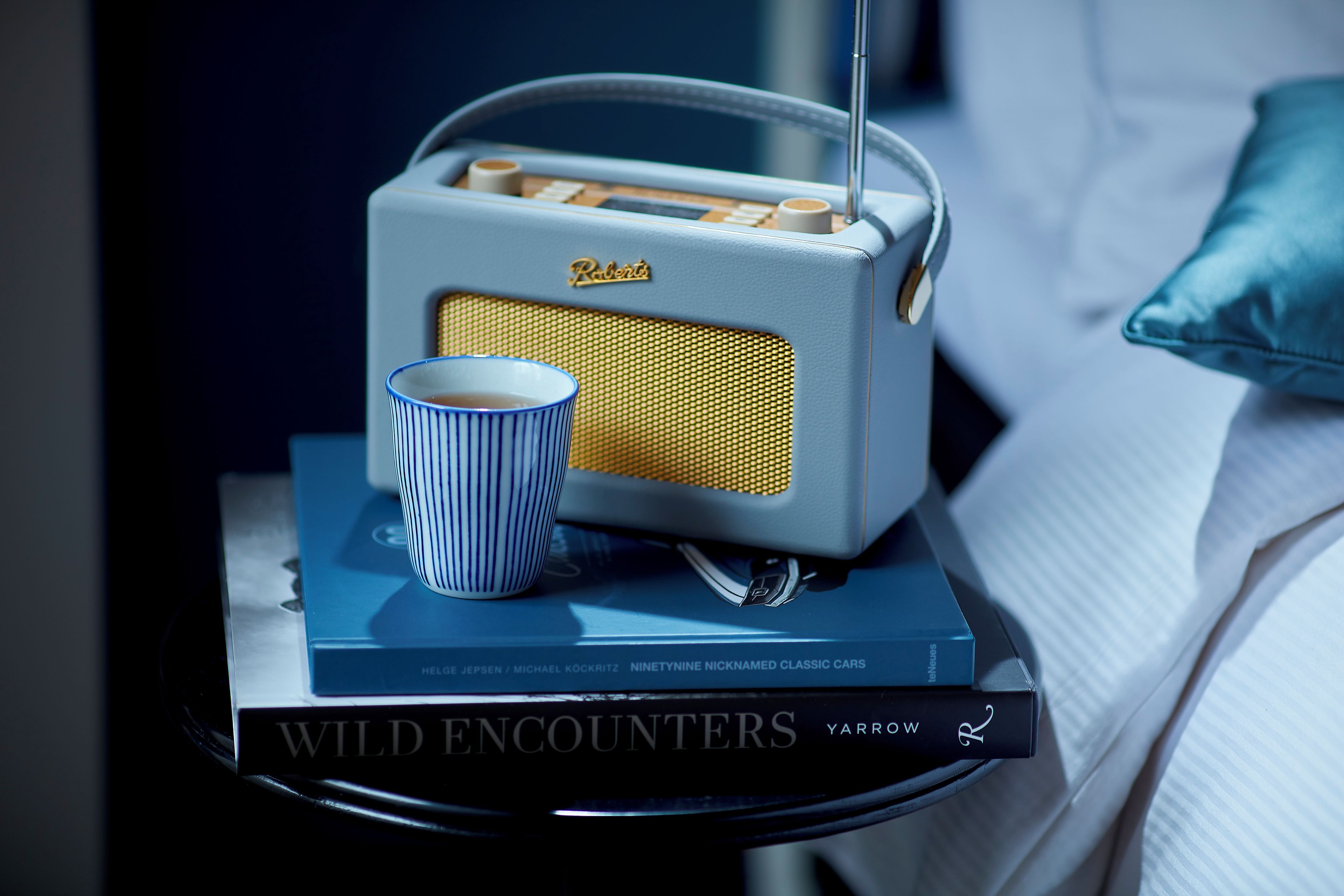 Una radio antigua sobre una mesita de noche con un libro titulado 'Wild Encounters' y una taza.
