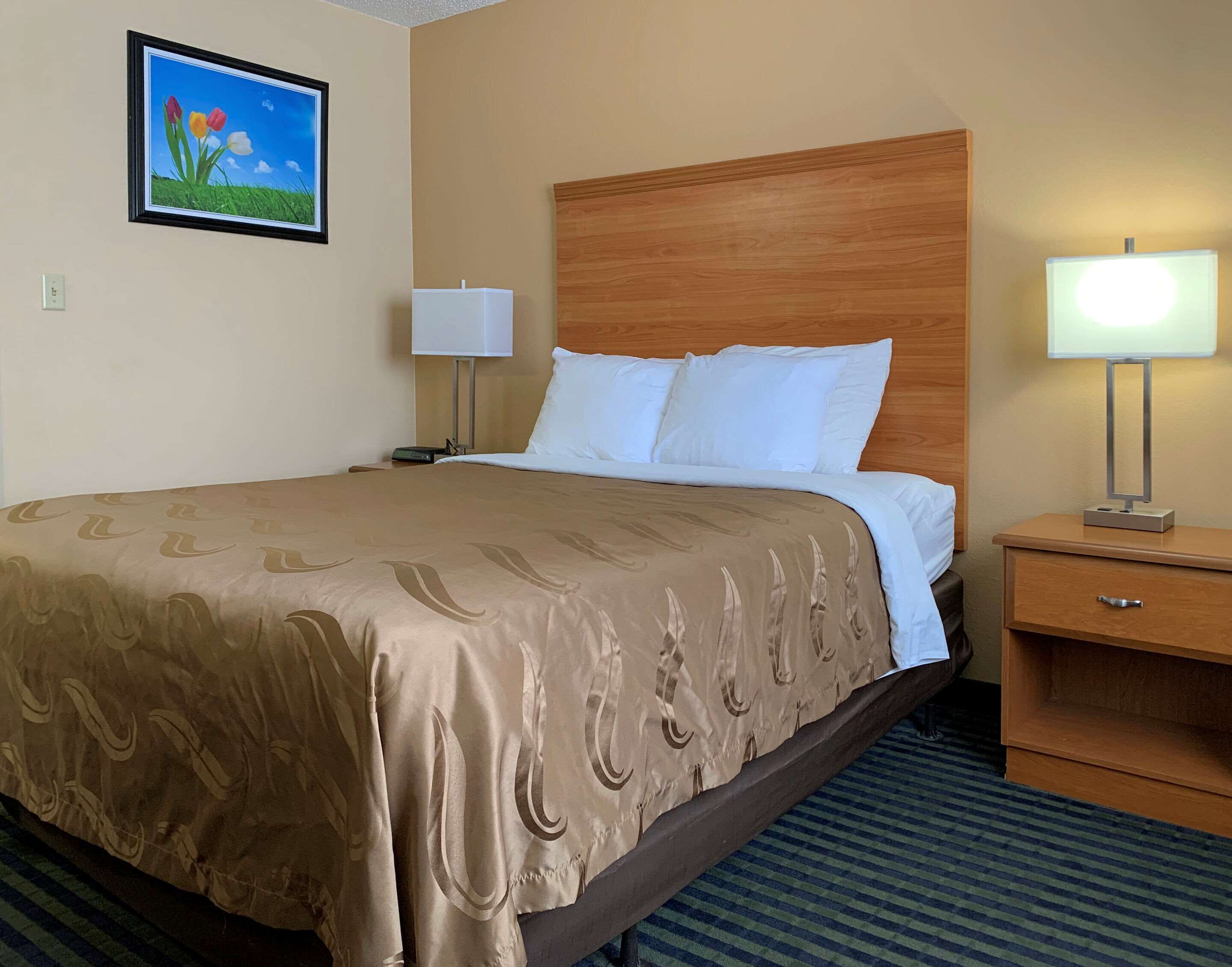 Habitación de hotel con una cama grande, cabecero de madera, mesita de noche con lámpara, y un cuadro enmarcado en la pared.