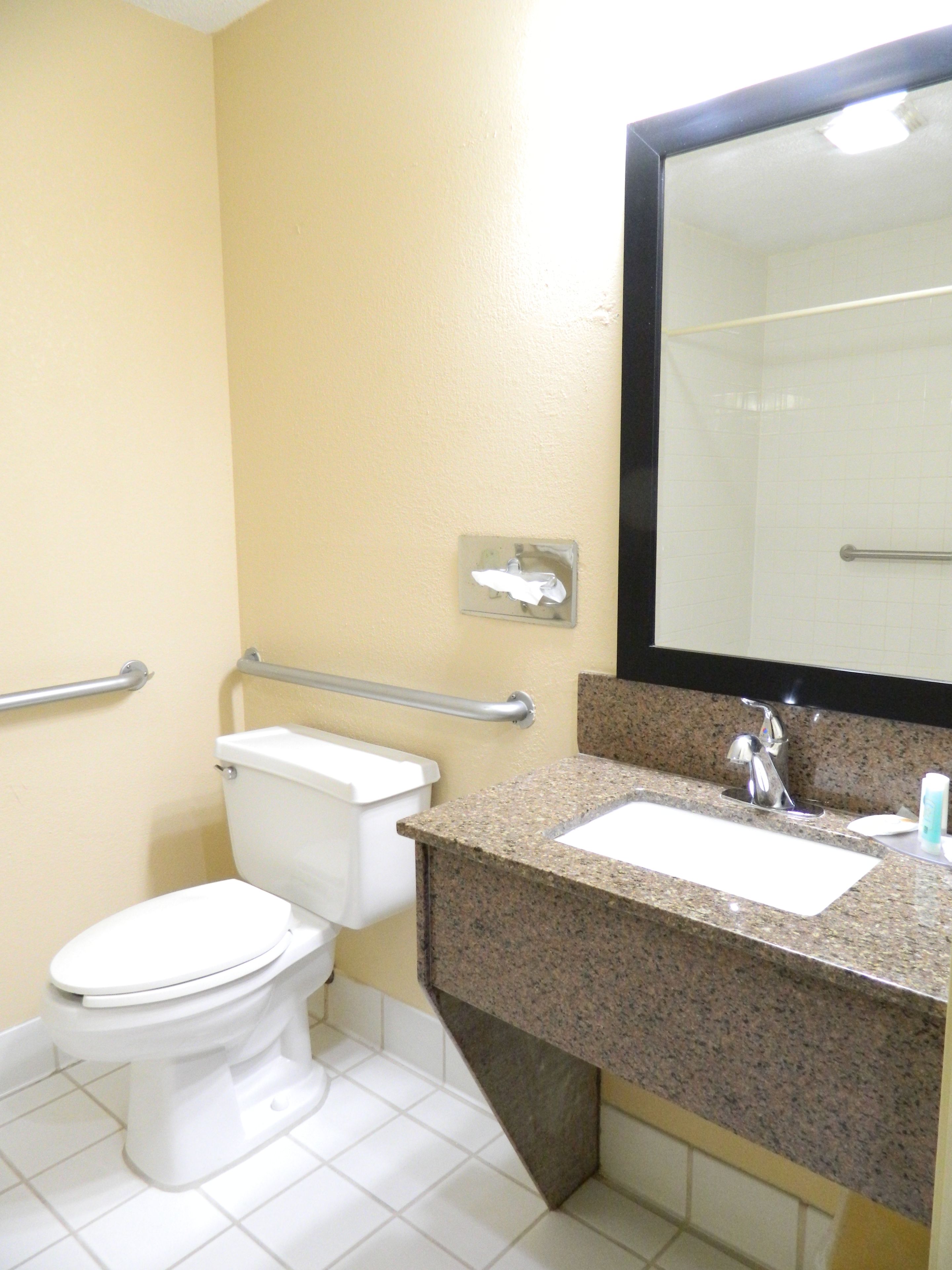 A bathroom with a white toilet, a sink with a granite countertop, and a mirror above the sink.