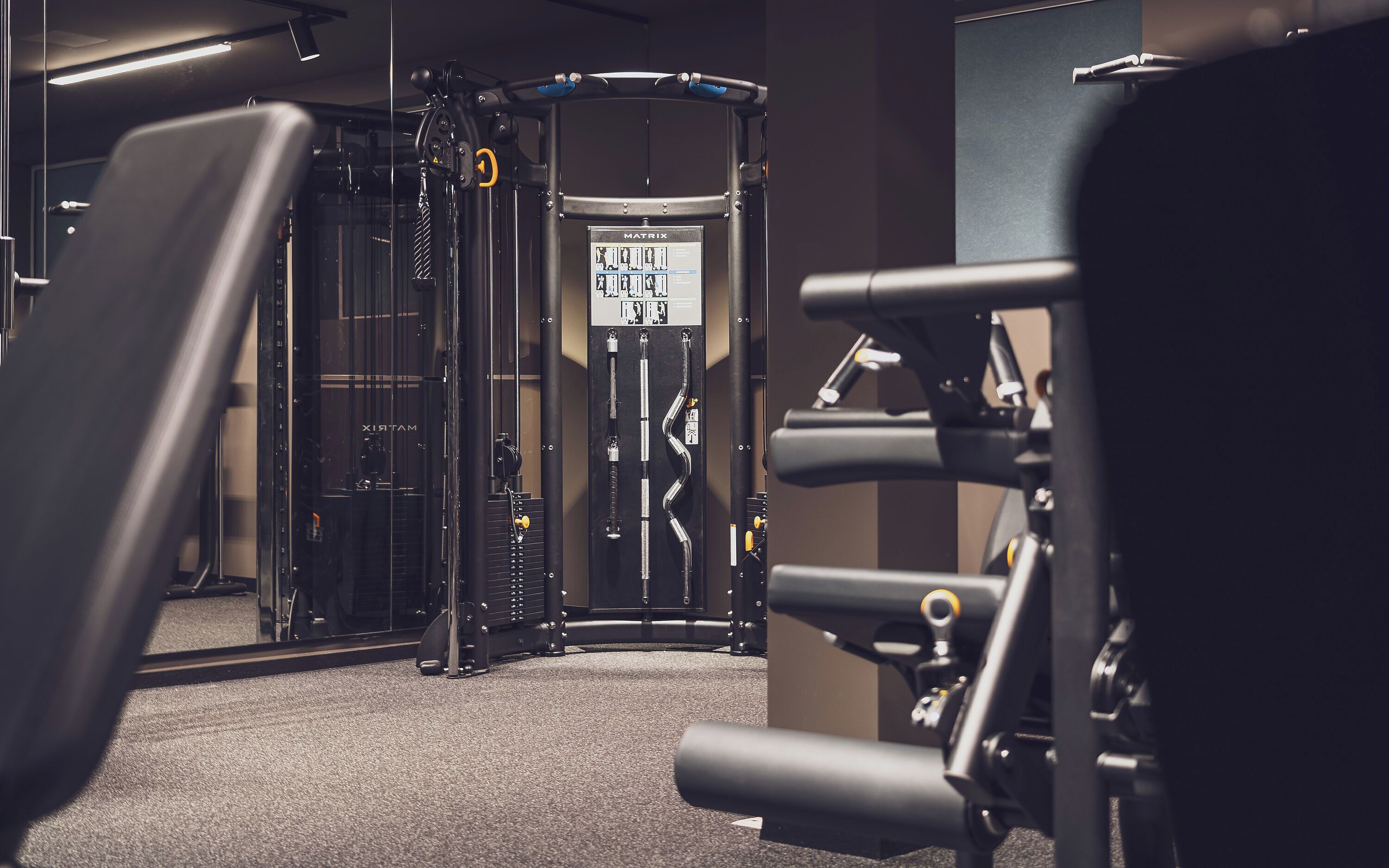 Ein Fitnessraum mit Klimmzugstange, Gewichtsmaschine und Squat-Rack.