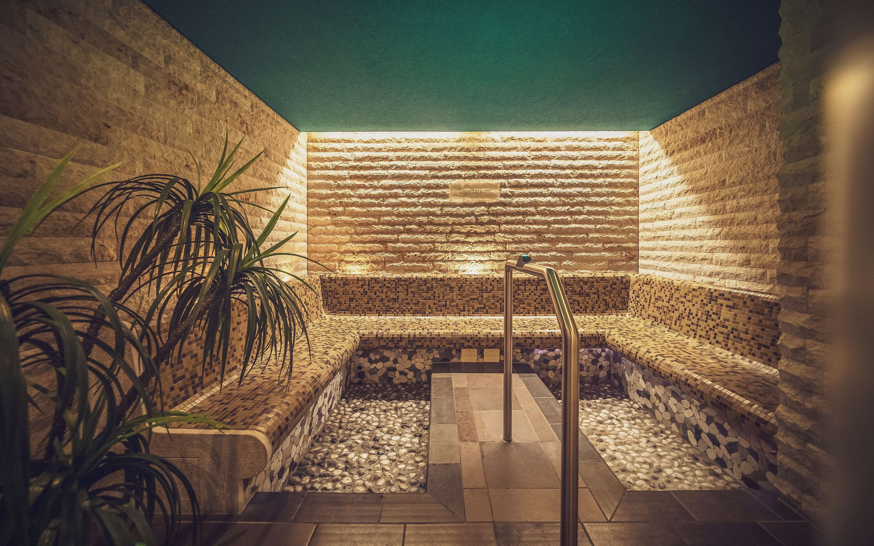 Un área de spa con una pared de mosaicos, una zona de estar y una planta.