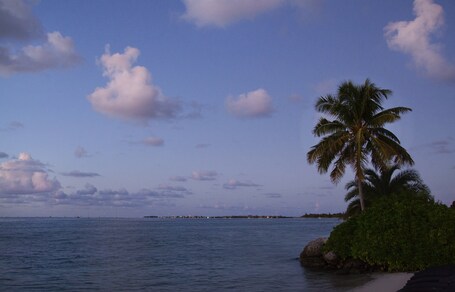 Pier House Resort Spa - Image 59