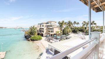 Un hotel frente a la playa con piscina, palmeras y vista al océano.