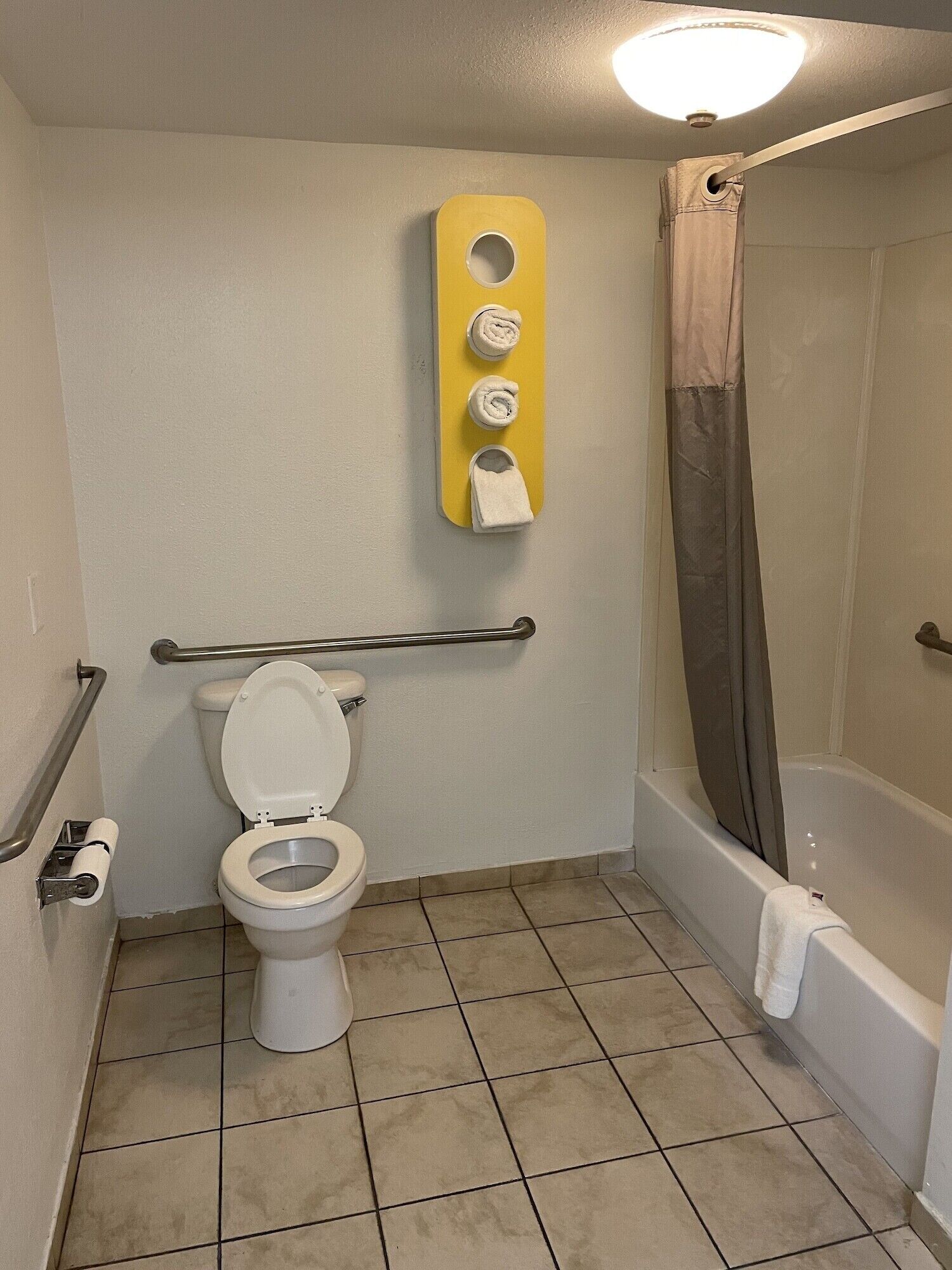 A bathroom with a toilet, a shower, and a towel rack.