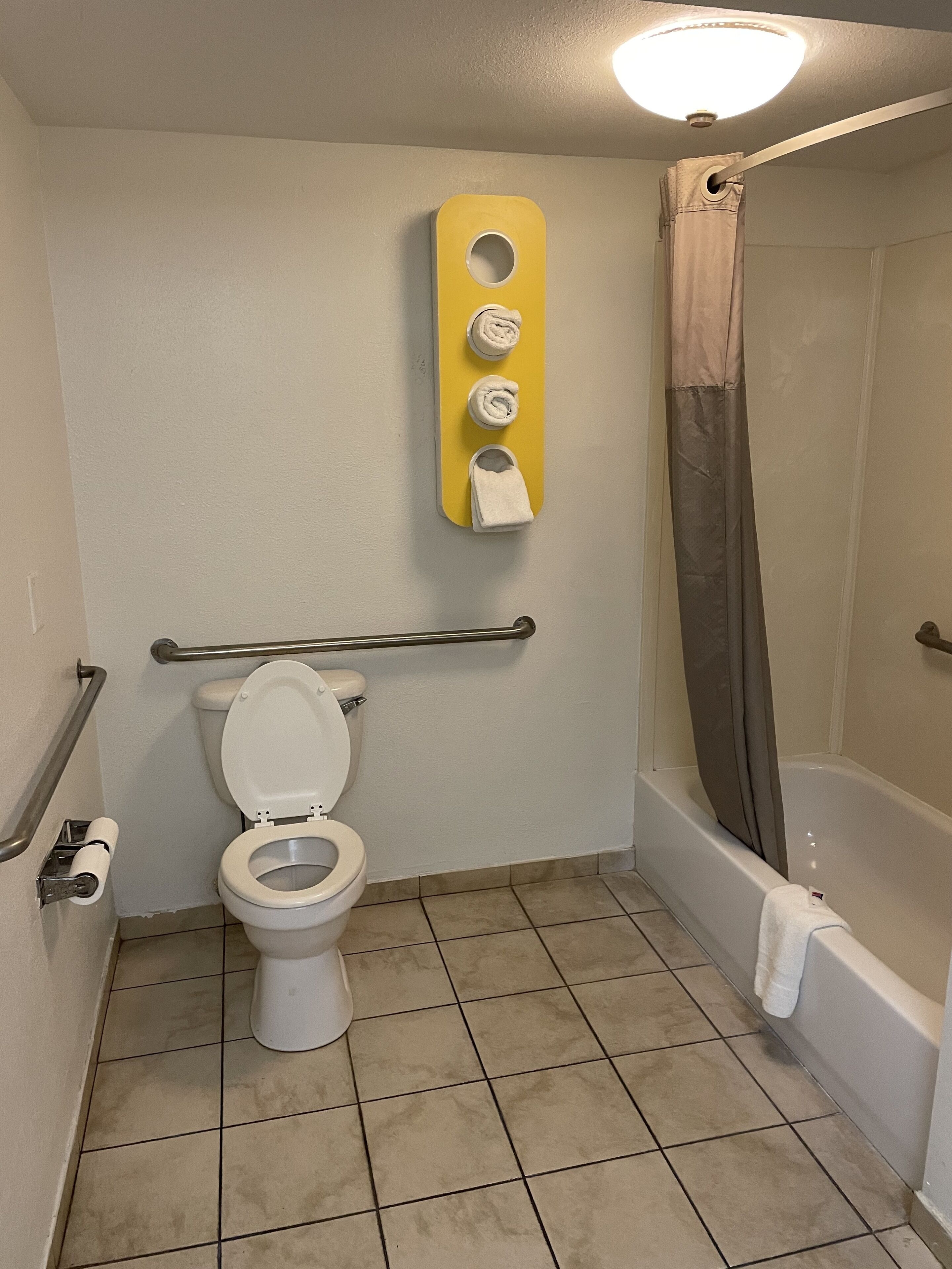 A bathroom with a toilet, a shower, and a towel rack.