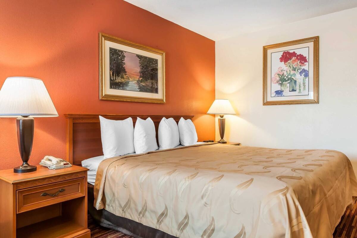 A hotel room with a bed, two bedside lamps, a nightstand with a phone, and two framed pictures on the walls.