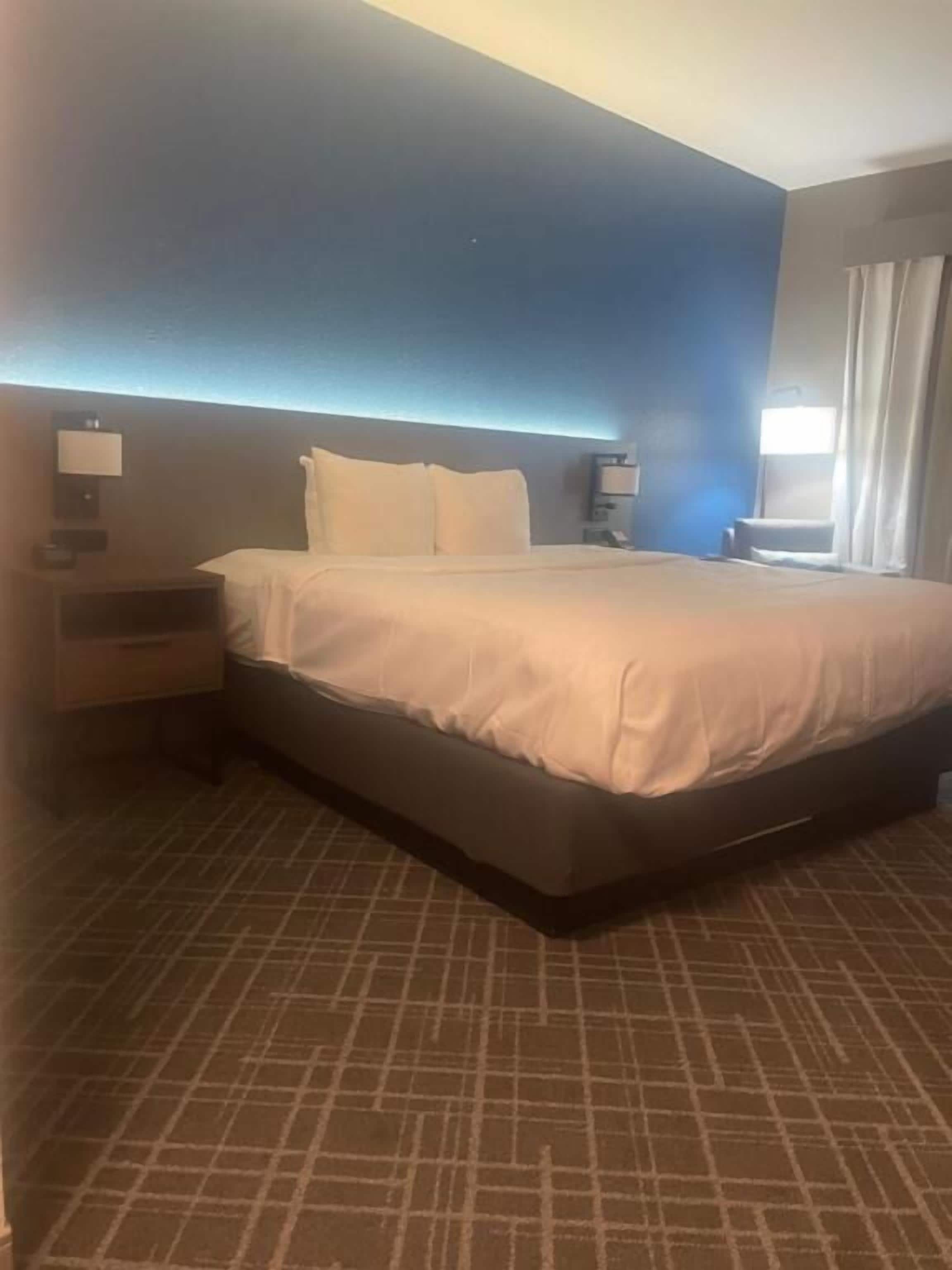 ห้องพัก, เตียงคิงไซส์ 1 เตียง, พร้อมสิ่งอำนวยความสะดวกสำหรับผู้พิการ, ปลอดบุหรี่ | โต๊ะทำงาน, เตารีด/โต๊ะรีดผ้า, Wi-Fi ฟรี, ผ้าปูที่นอน