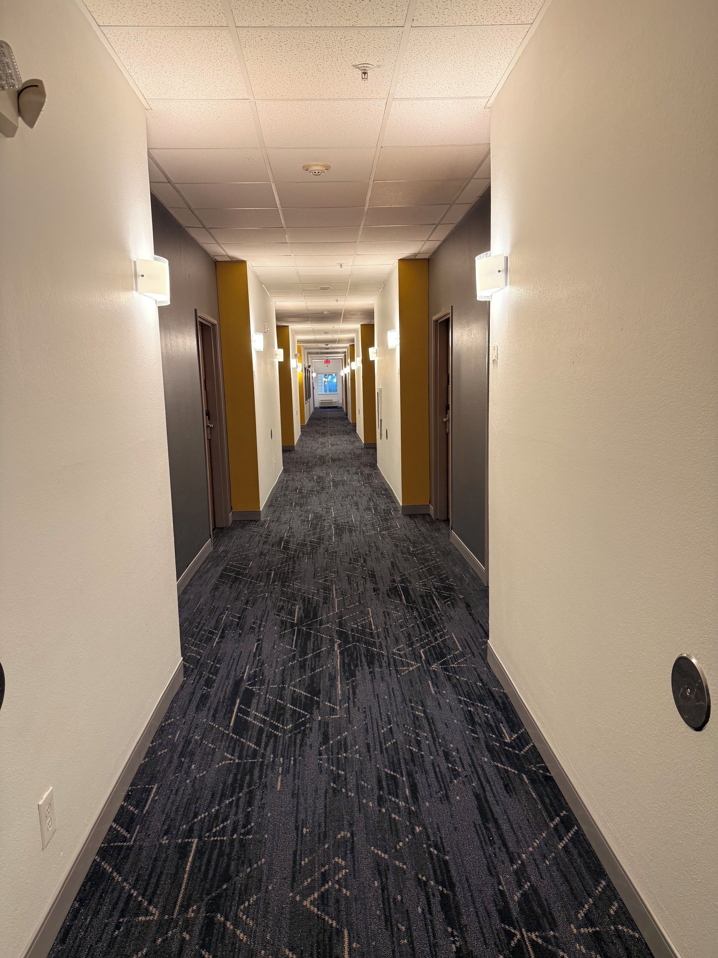 A hotel hallway with a carpeted floor, light-colored walls, and doors on both sides.