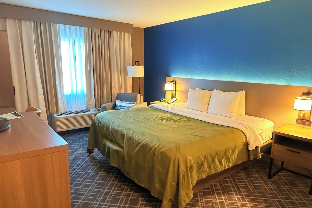 Standard Room, 1 King Bed, Non Smoking | Desk, iron/ironing board, free WiFi, bed sheets