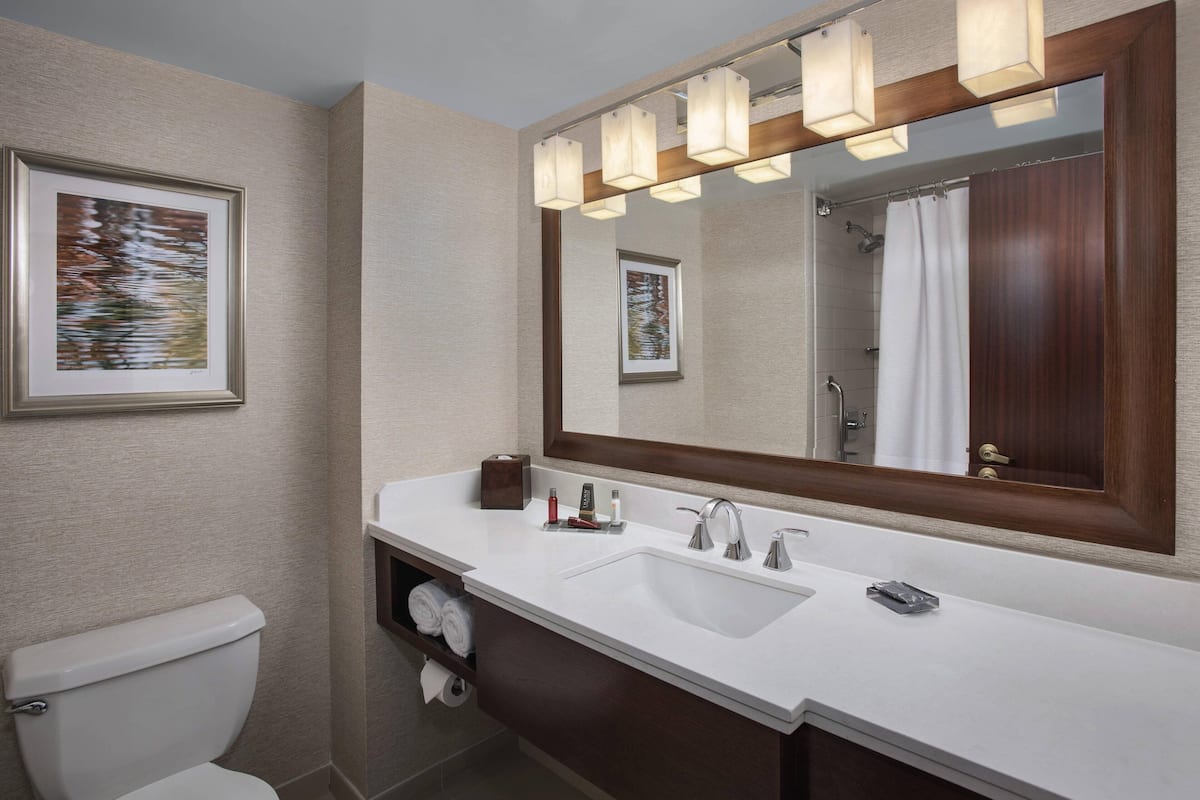 combined shower/bathtub, free toiletries, hair dryer, towels