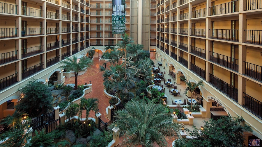 Four Points by Sheraton Suites Tampa Airport Westshore