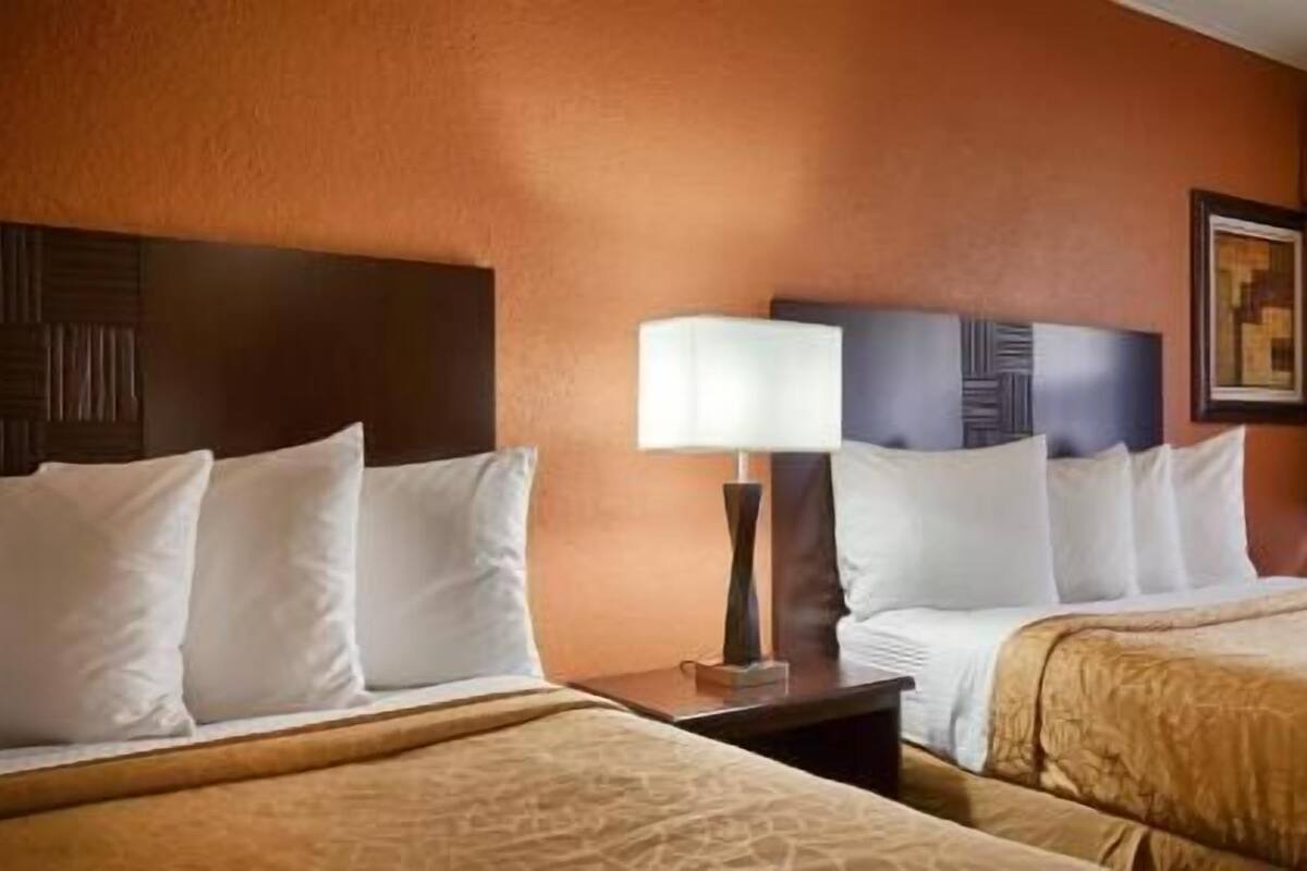 A hotel room with two beds, a nightstand with a lamp, and a framed picture on the wall.