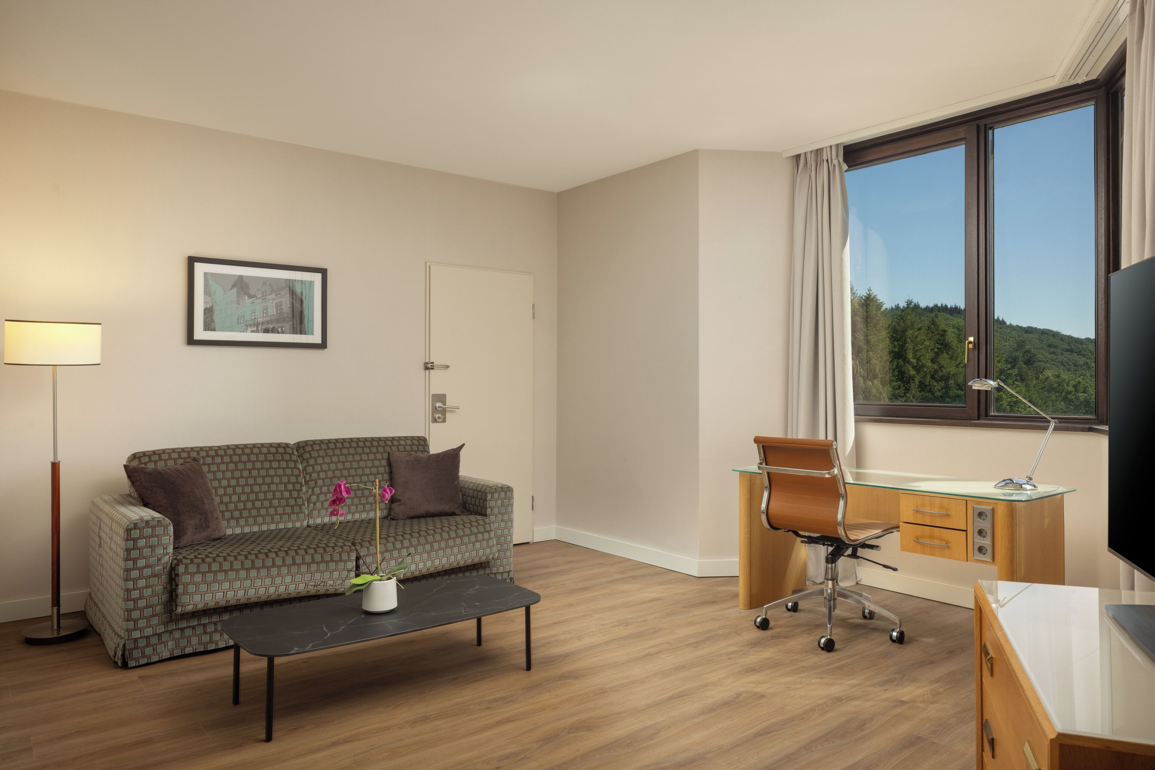 A hotel room with a sofa, a desk, a TV, a lamp, and a window with a view of a forest.