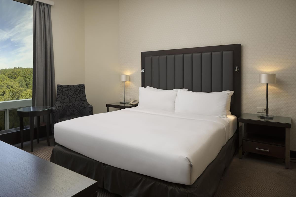 Deluxe Suite | Minibar, in-room safe, desk, soundproofing