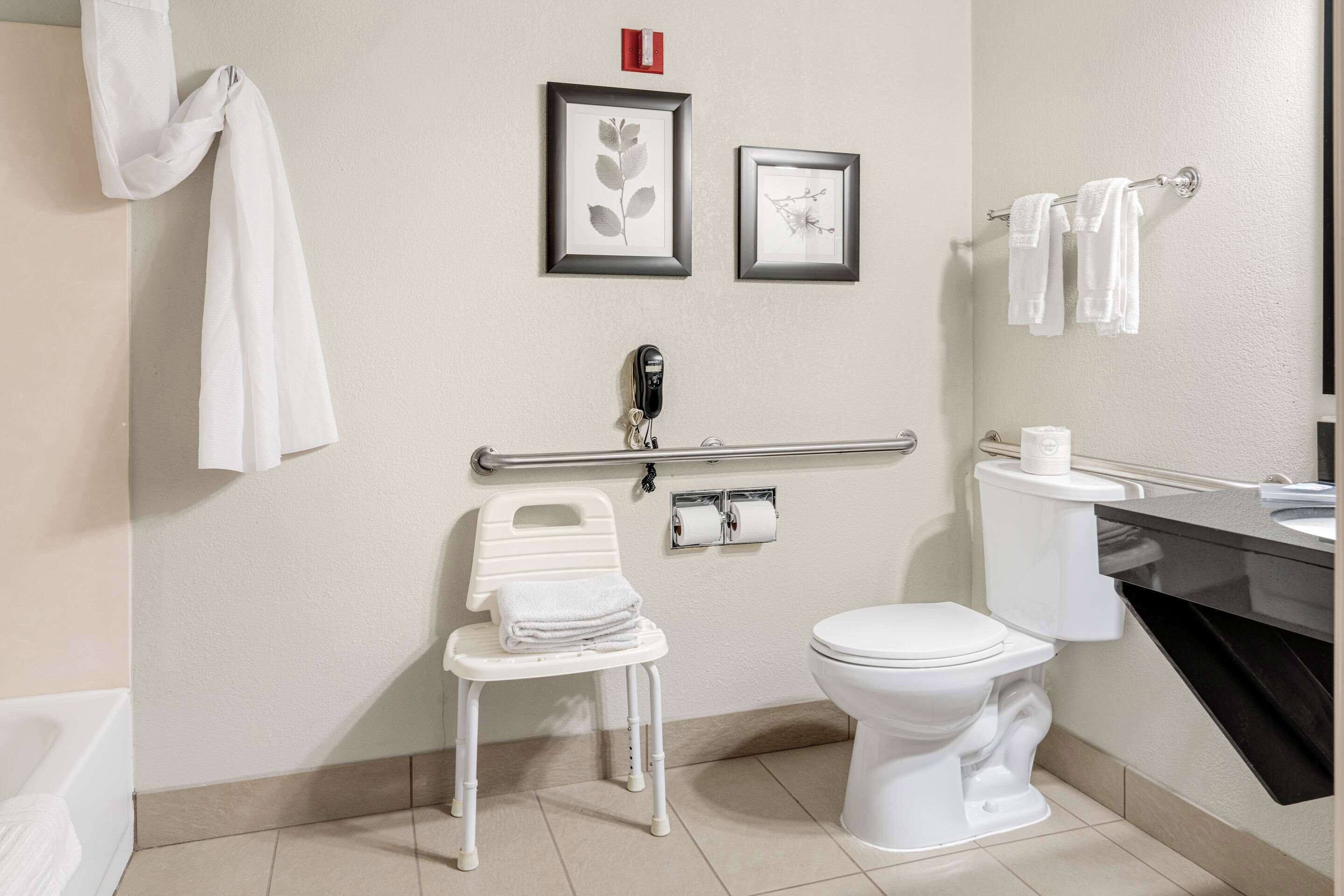 Een moderne badkamer met een toilet, een wastafel, een handdroger, een handdoekhouder en een kunstwerk van een blad in een lijst aan de muur.
