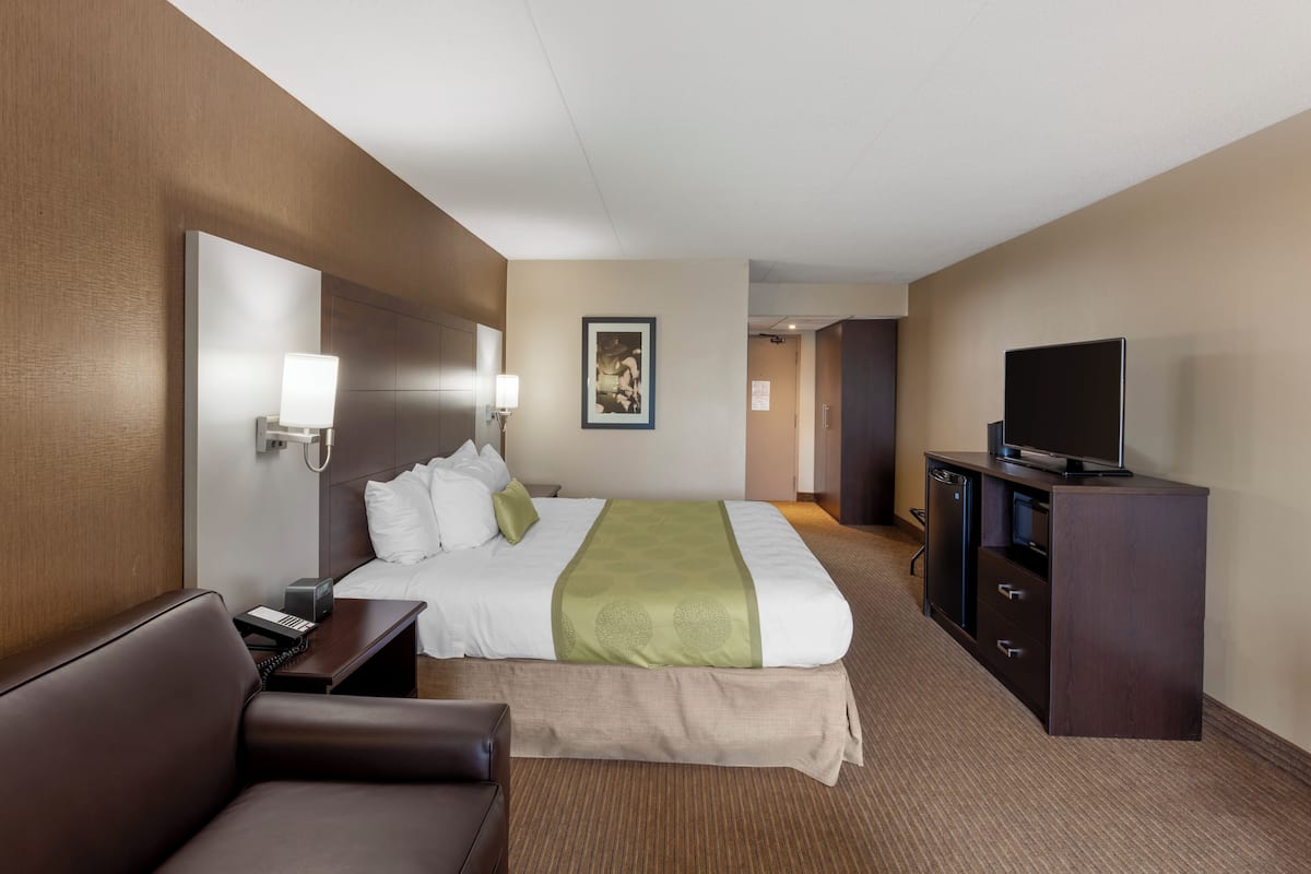 Standard Room, 1 King Bed, Non Smoking (Atrium View;with Sofabed)