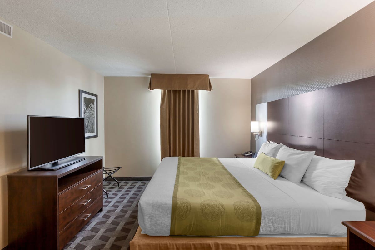 A hotel room with a bed, a television on a wooden dresser, a window with curtains, and a headboard.