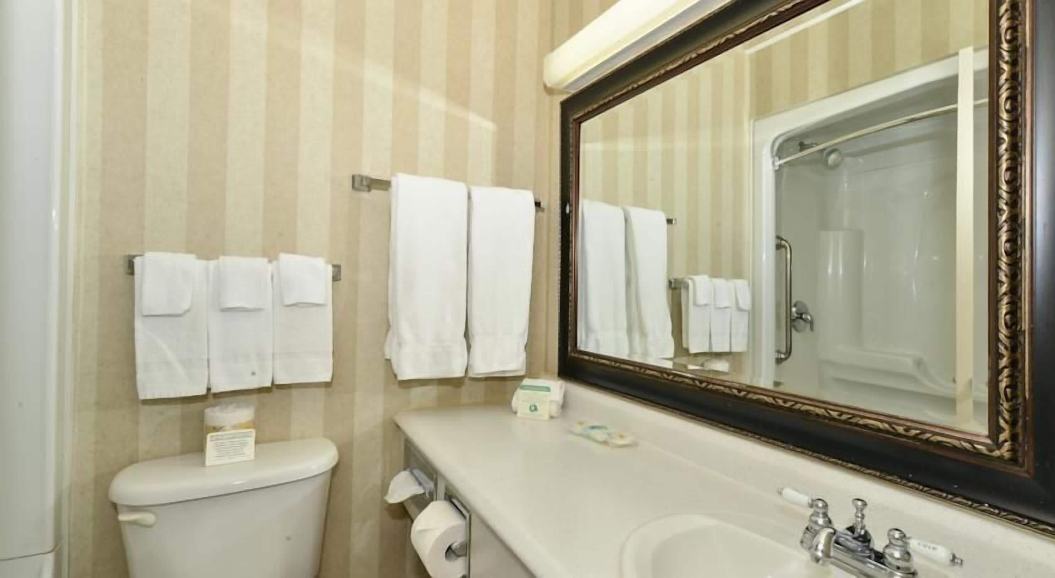 combined shower/bathtub, hair dryer, towels