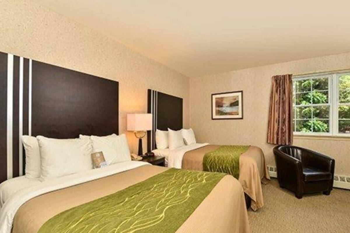 Une chambre d’hôtel avec deux lits, un bureau, une chaise, une fenêtre avec des rideaux et un tableau au mur.