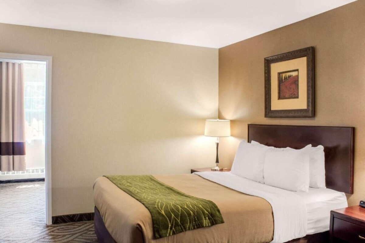 A hotel room with a bed, a nightstand, a lamp, a framed picture on the wall, and a view of the outdoors through a window.