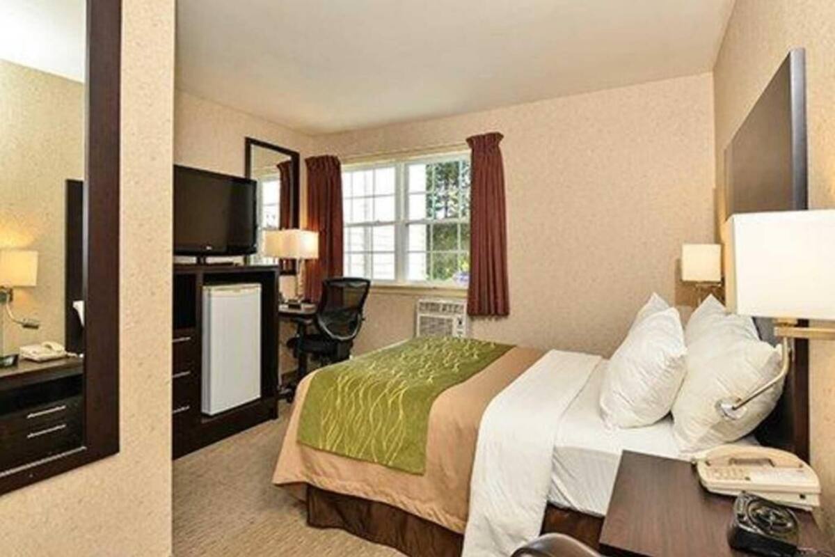 Une chambre d’hôtel comprenant un lit, un bureau, une télévision, une fenêtre avec des rideaux et un miroir.