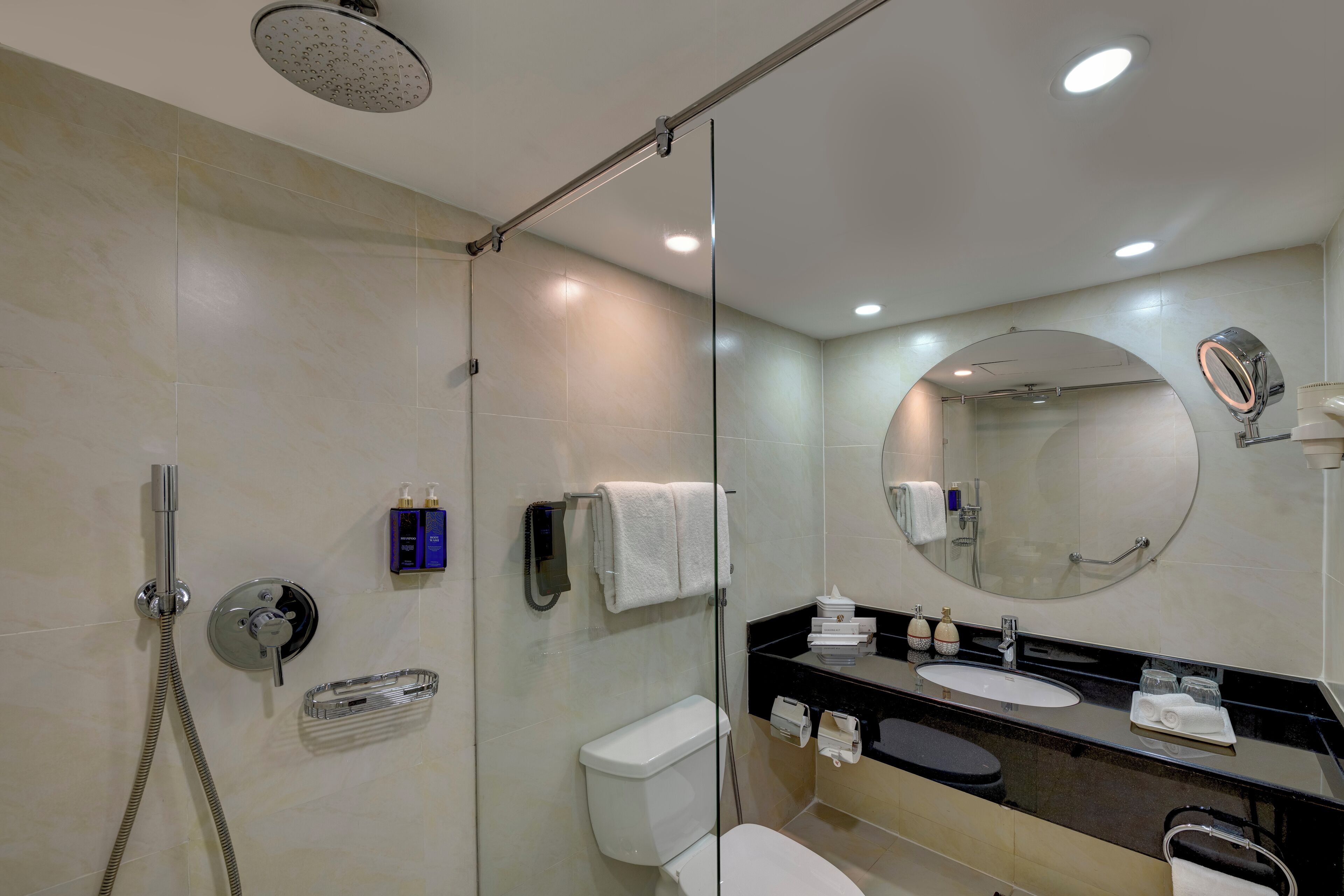 A modern bathroom with a glass-enclosed shower, a toilet, a sink, and a vanity with a mirror.