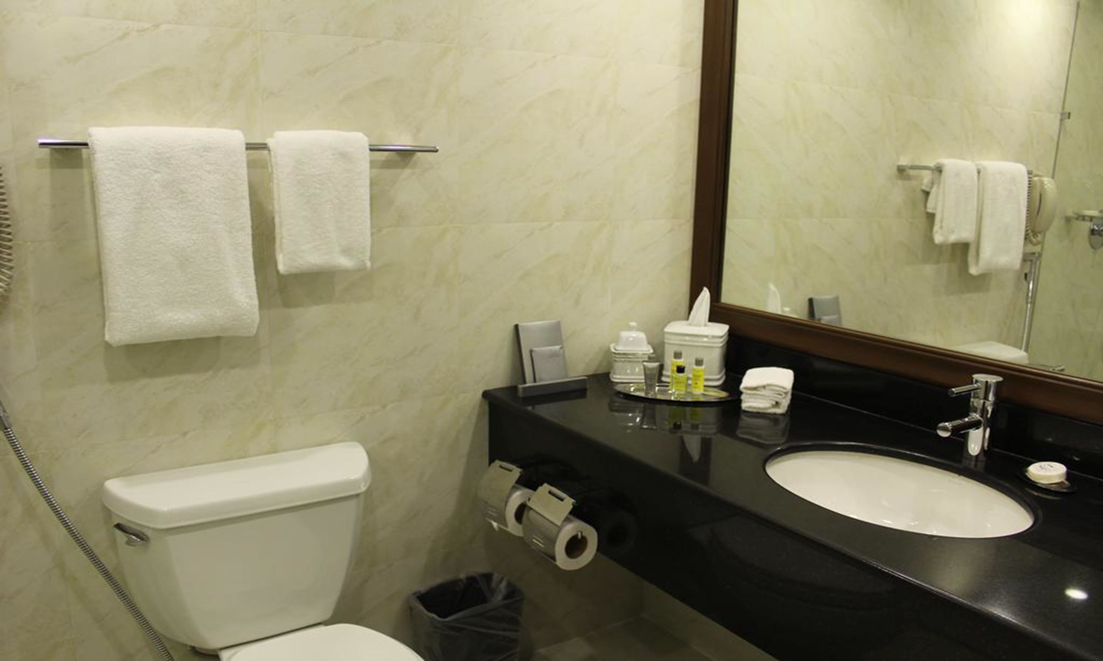 Hair dryer, slippers, bidet, towels