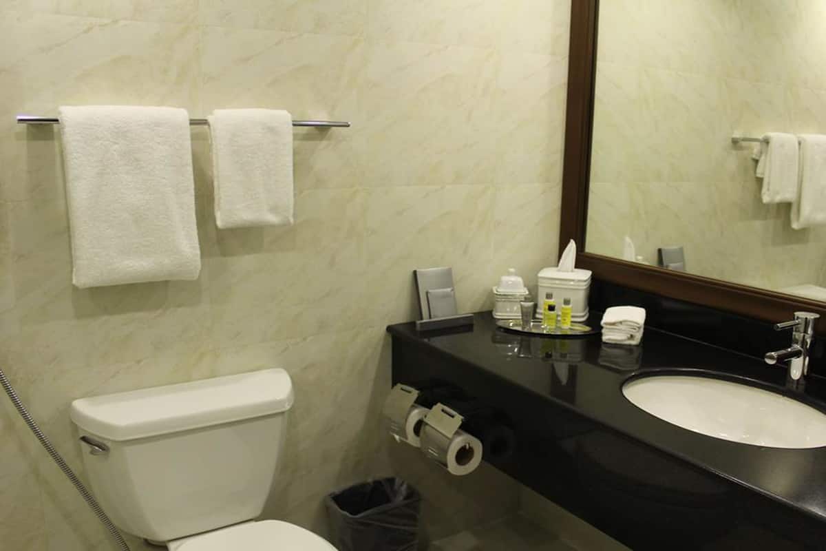 Secador de pelo, pantuflas, bidet, toallas