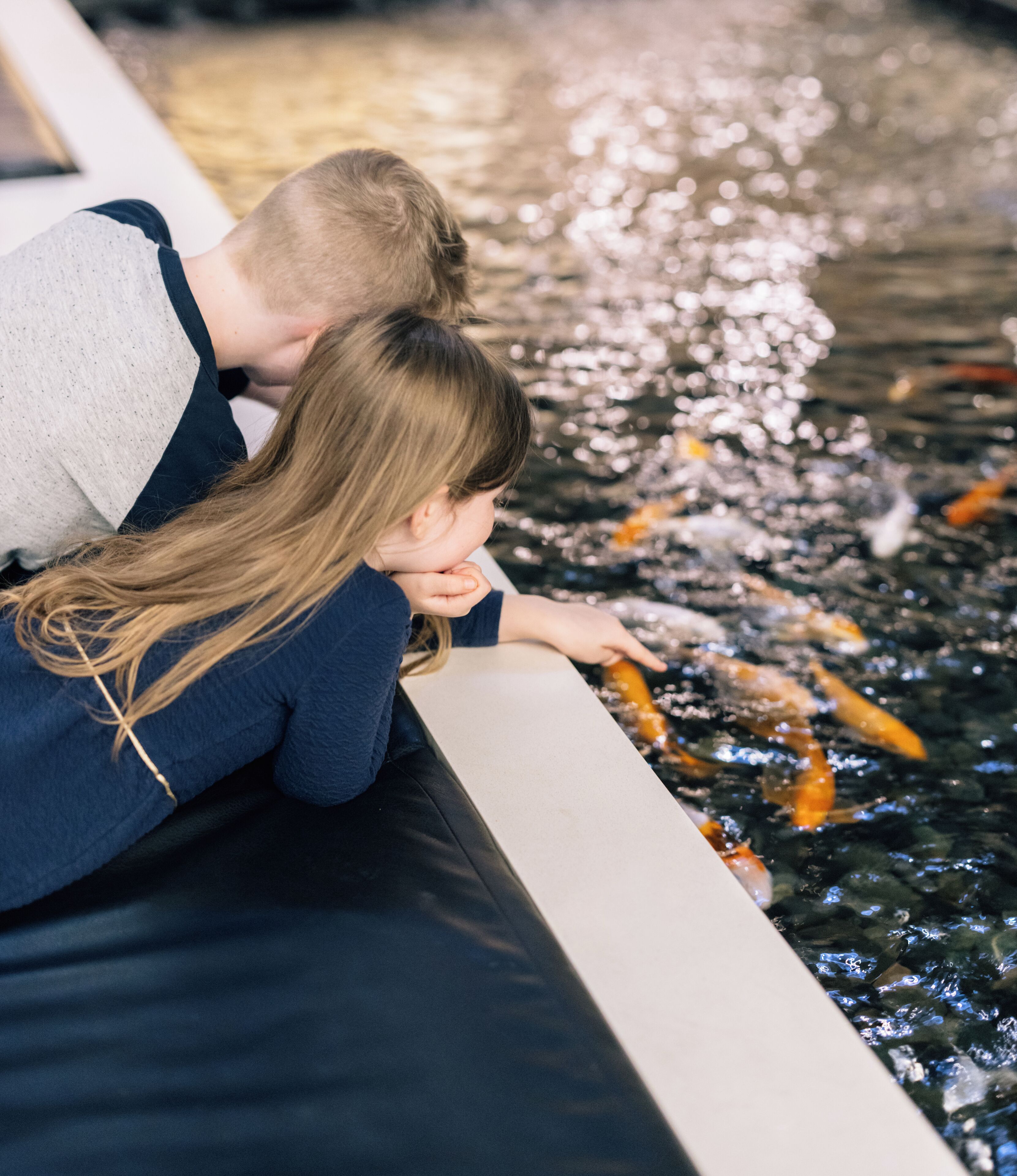 Foto - Hyatt Regency Toronto