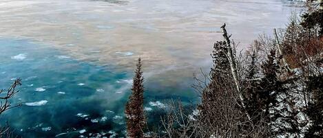 A panoramic view of a frozen lake with clear water and ice formations, surrounded by trees and a distant shoreline.
