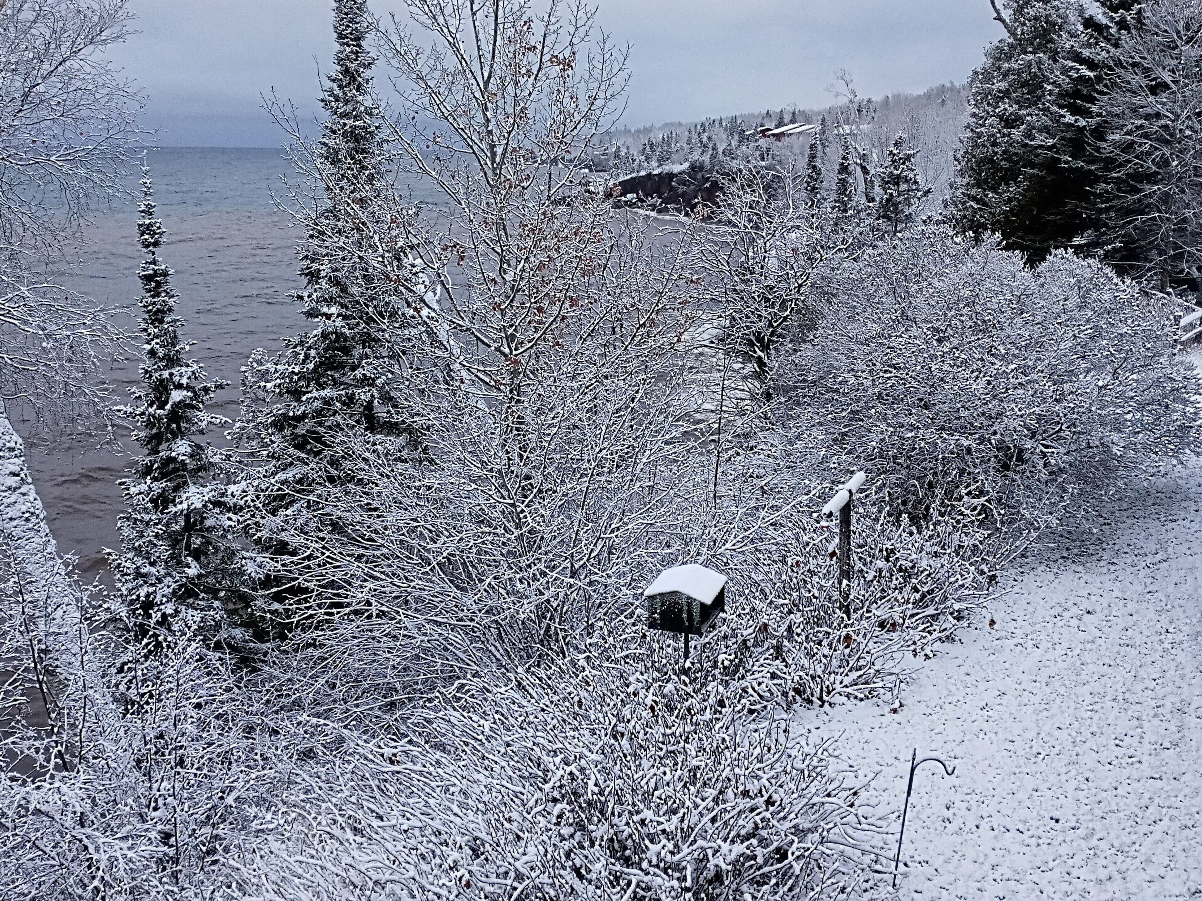 A snowy landscape with a view of the ocean, trees, and a small cabin-like structure.