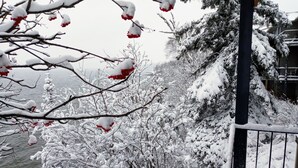 A snowy outdoor scene with bare trees and a metal railing. - The Cliff Dweller on Lake Superior (Tofte)