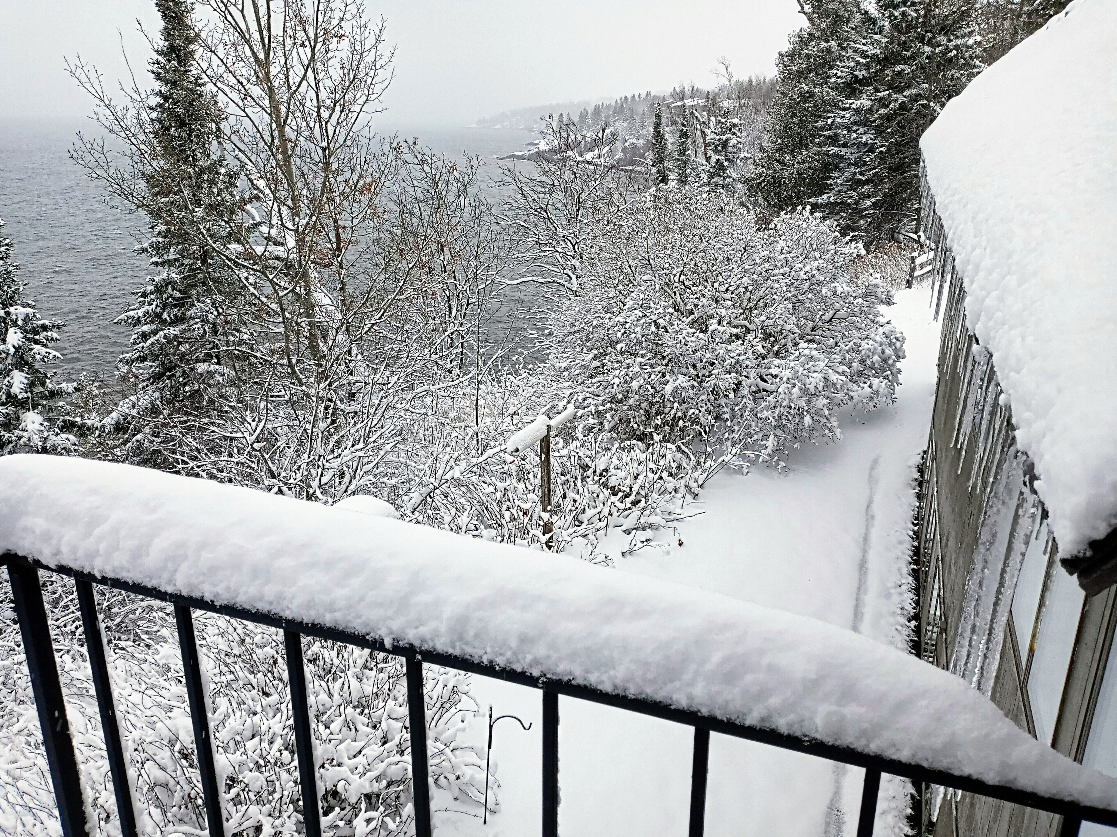 A snowy landscape with a view of a body of water and trees.
