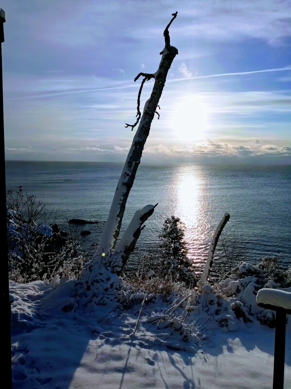 A snowy landscape with a tree in the foreground and a body of water in the background.