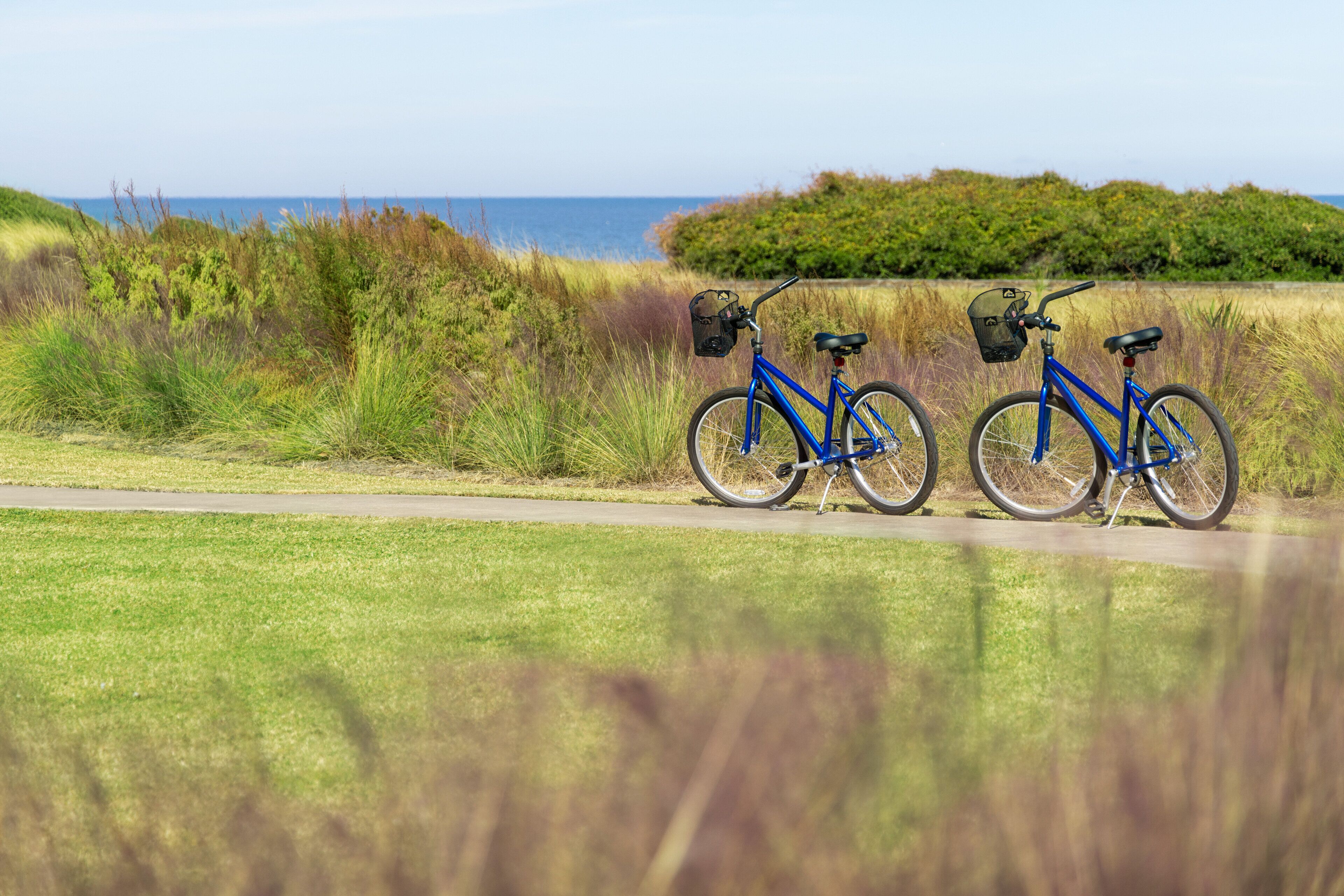 Dos bicicletas estacionadas en un sendero, con un campo de césped y un cuerpo de agua al fondo.