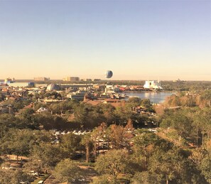 Vistas desde la habitación