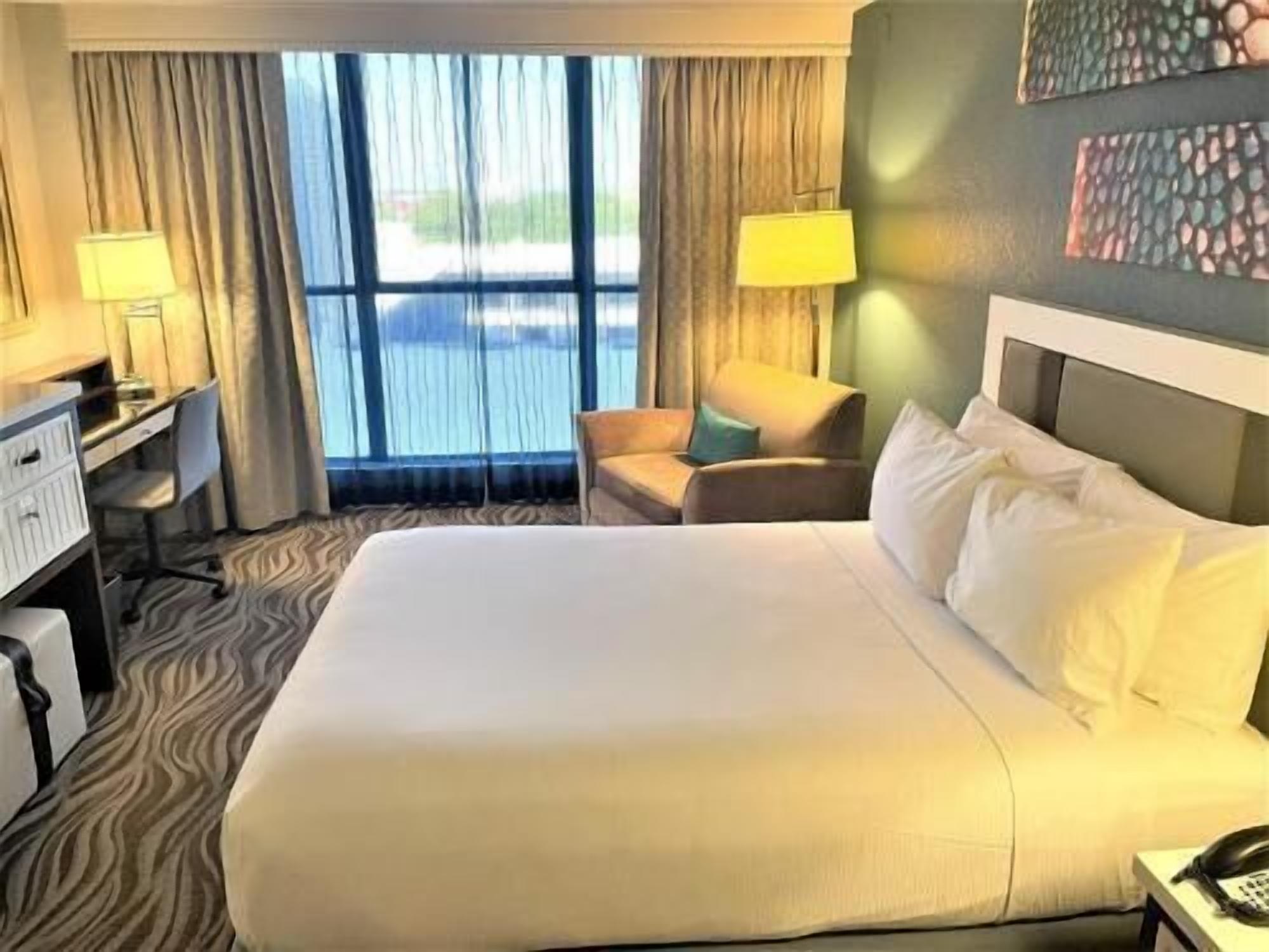 Premium bedding, pillow-top beds, in-room safe, desk