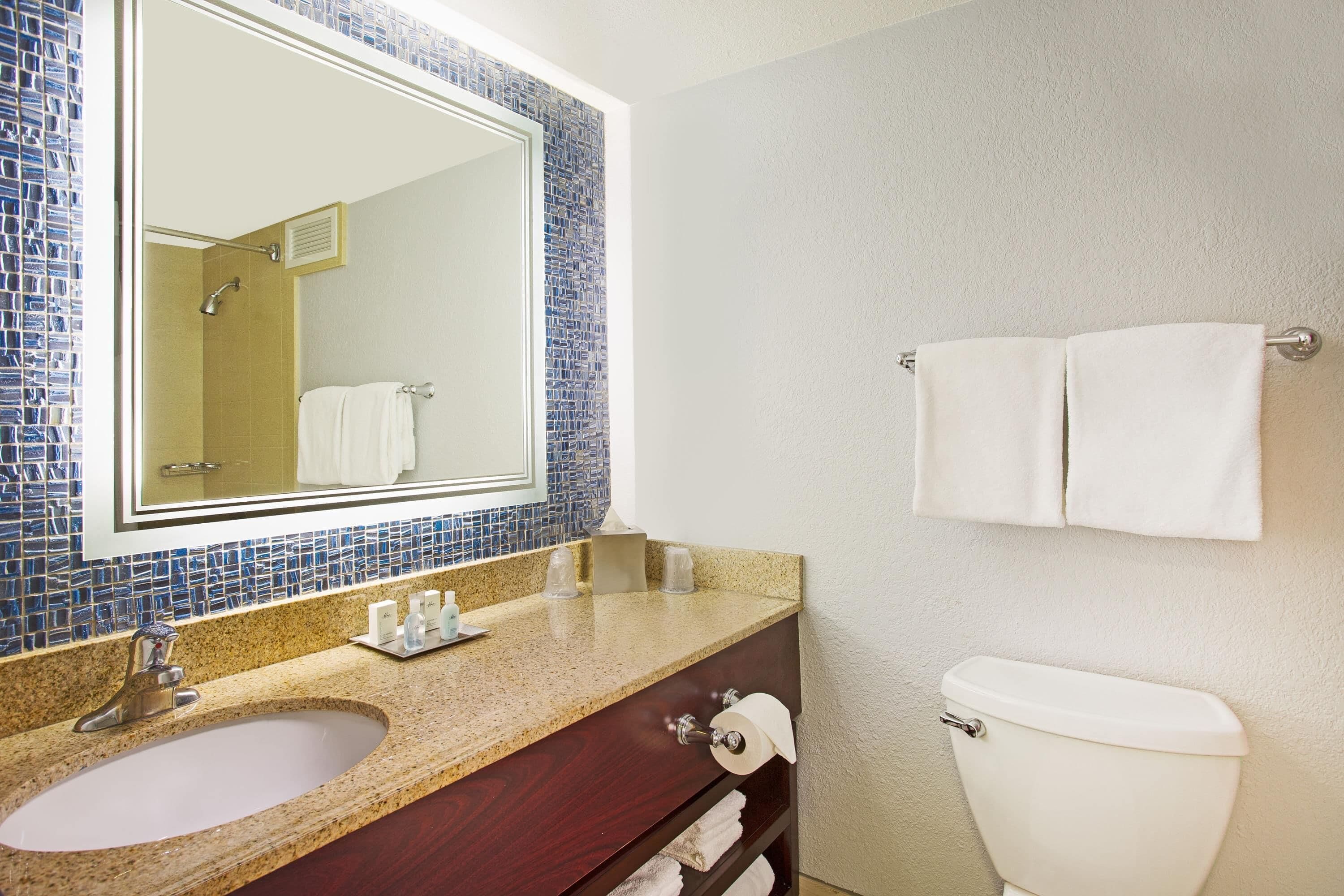 Une salle de bain équipée d’un lavabo, d’un miroir, d’un porte-serviettes et de toilettes.