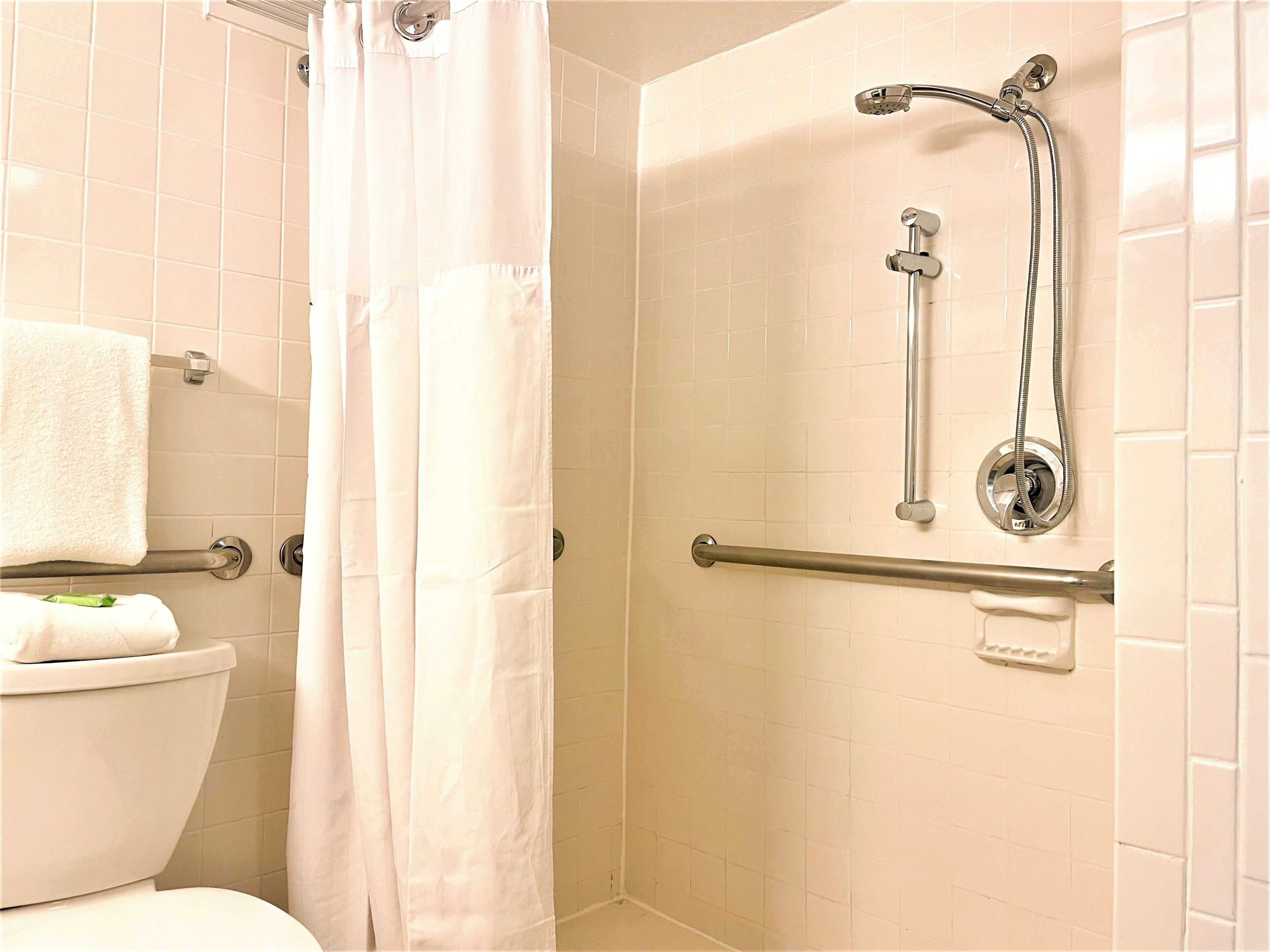Foto - Wyndham Lake Buena Vista – Disney Springs® Area