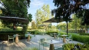 Een terras buiten met tafels en stoelen, omringd door groen en bomen.