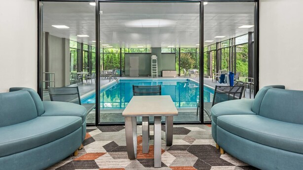 Une pièce avec une piscine, deux canapés, une table et un tapis à motifs.