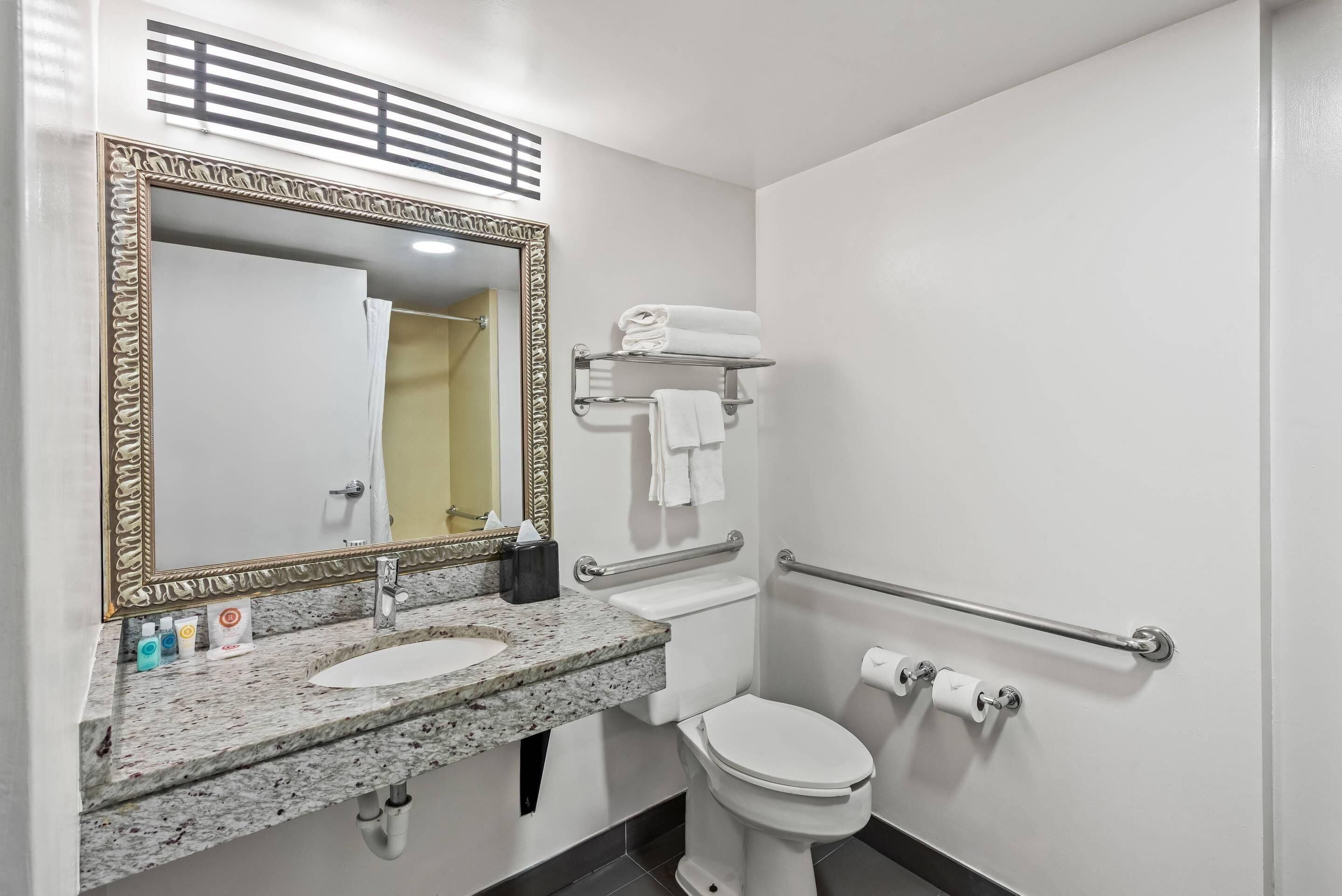 Un baño con lavamanos de mármol, un espejo grande, un inodoro y un perchero para toallas.
