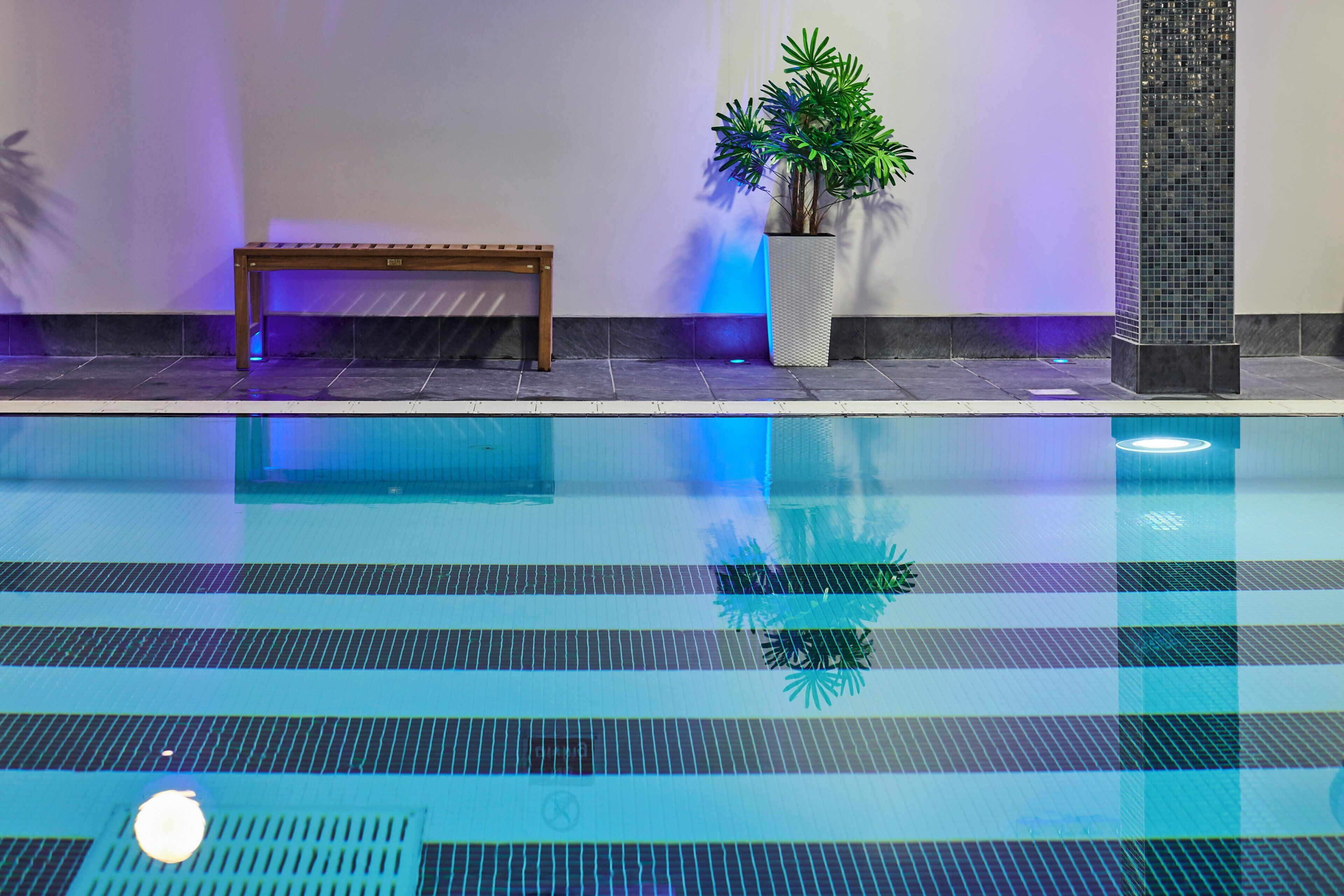 A swimming pool with a bench and potted plants.