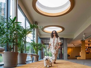 Miscellaneous - Novotel Madrid City Las Ventas (Madrid)