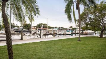 A marina with boats docked, surrounded by palm trees and a grassy area.