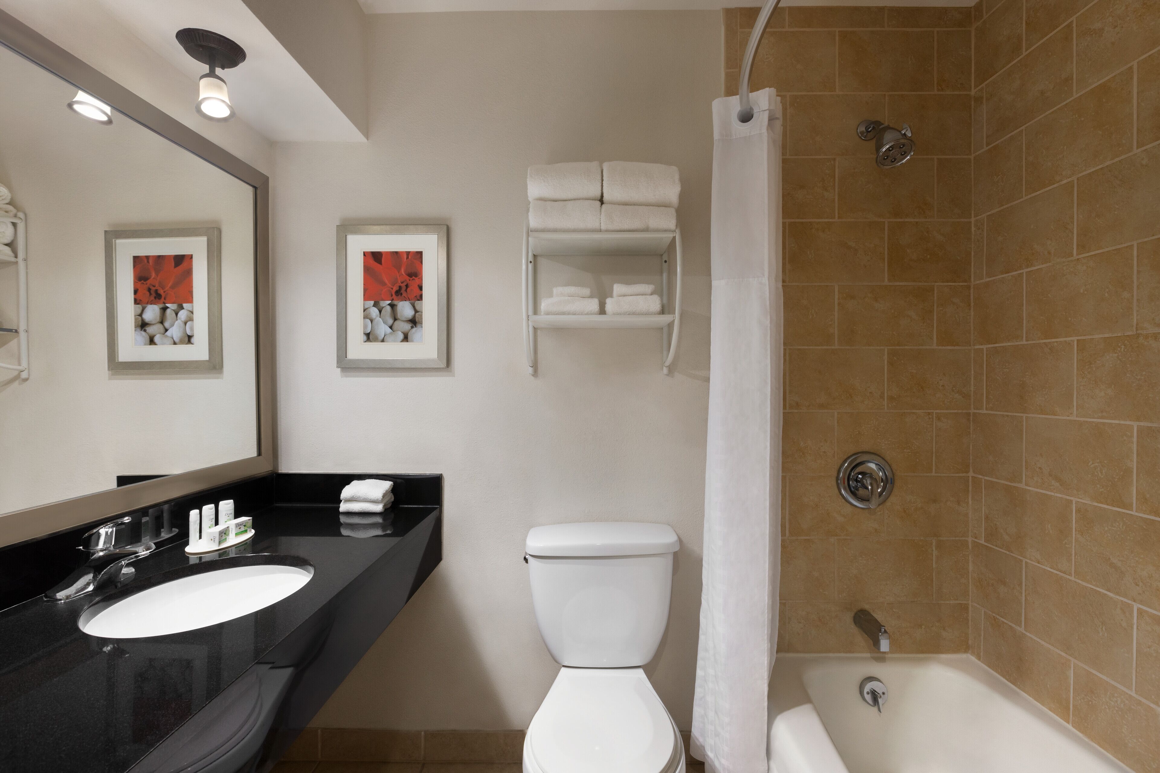 combined shower/bathtub, free toiletries, hair dryer, towels