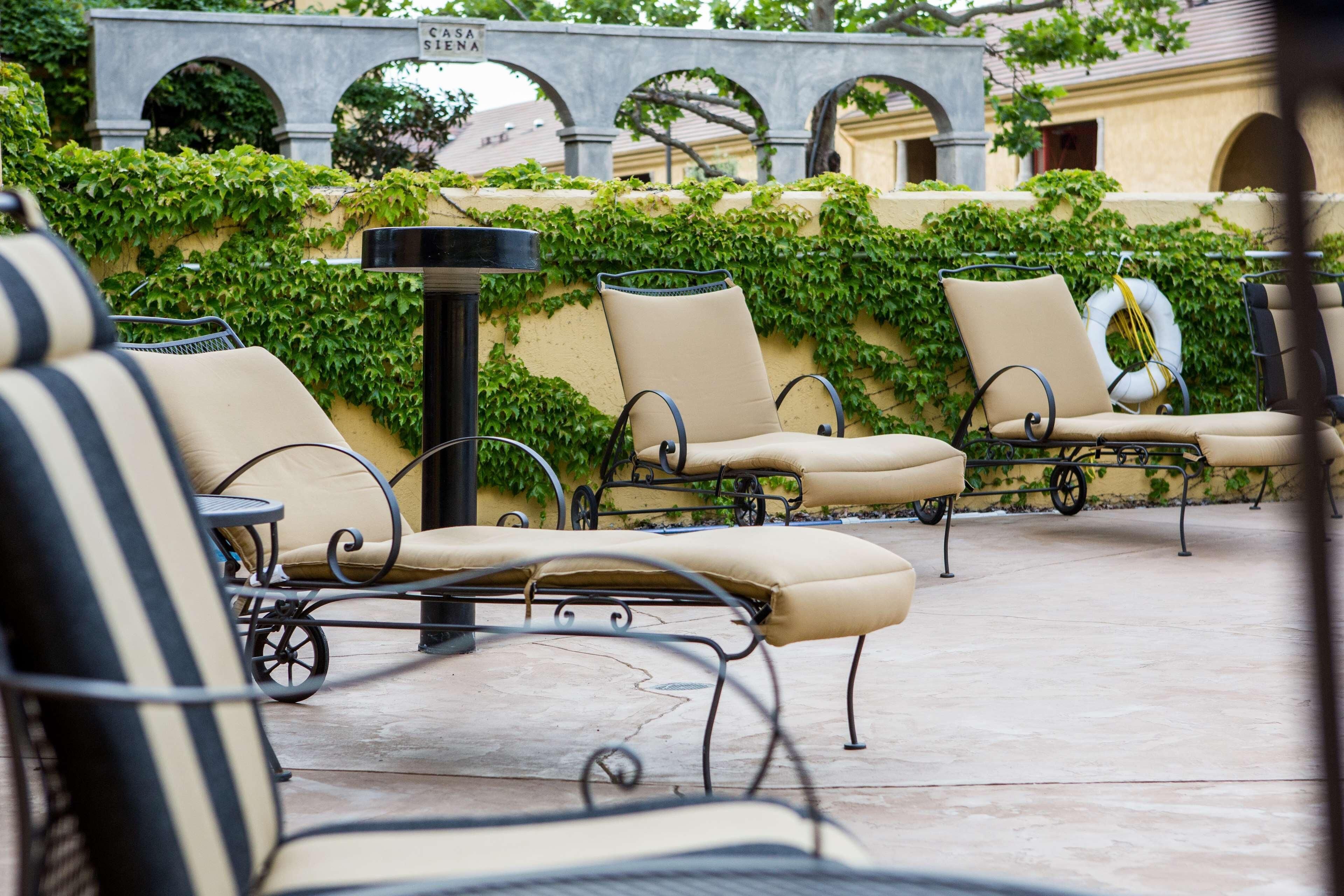 Outdoor pool, open 7:00 AM to 10:00 PM, pool loungers